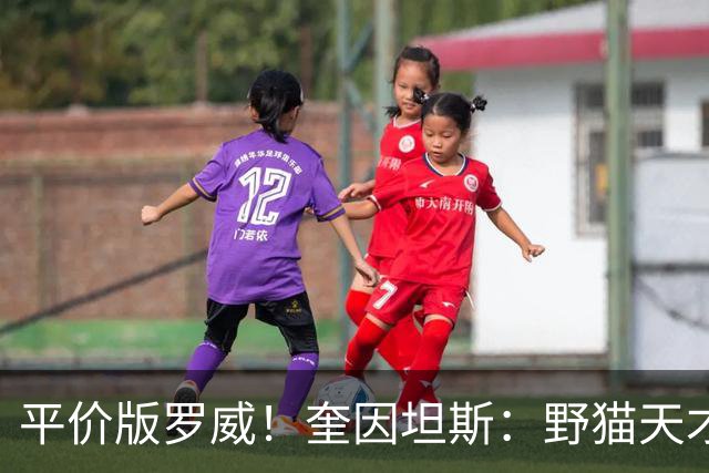 平价版罗威！奎因坦斯：野猫天才内线 存伤病隐患 罚球致敬米切罗