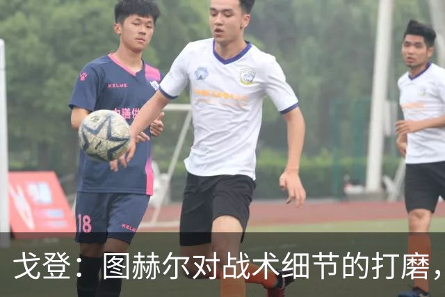 戈登：图赫尔对战术细节的打磨，堪称世界顶尖