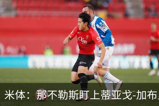米体：那不勒斯盯上蒂亚戈-加布里埃尔，要求至少2000万欧