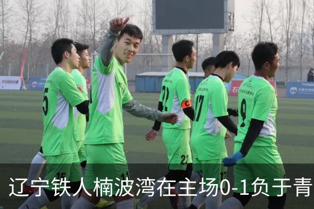 辽宁铁人楠波湾在主场0-1负于青岛西海岸